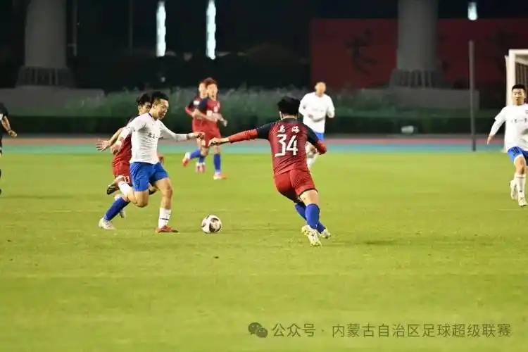 免费高清毛片